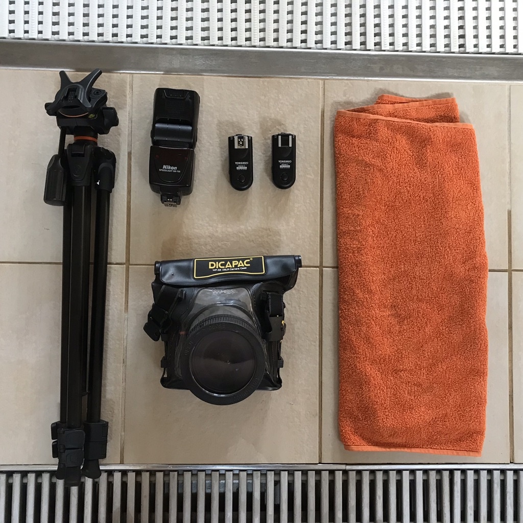 Wie fotografiert man unter Wasser - gear
