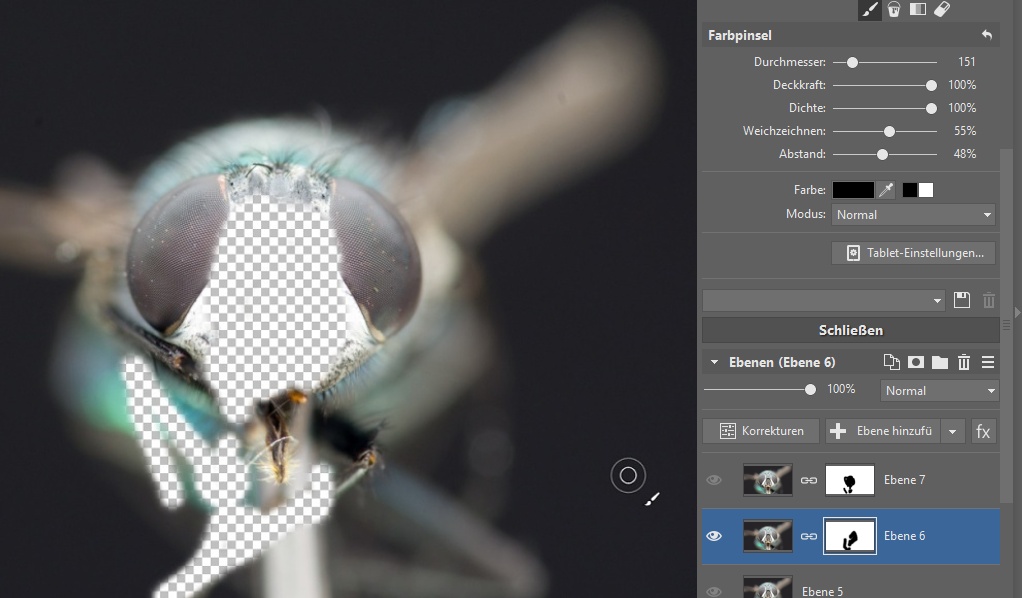 Focus Stacking: Beim Maskieren sollten Sie alle Ebenen ausblenden, außer der Ebene, mit der Sie aktuell arbeiten.