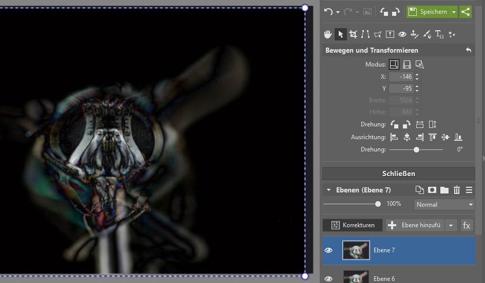Focus Stacking: Konturen.