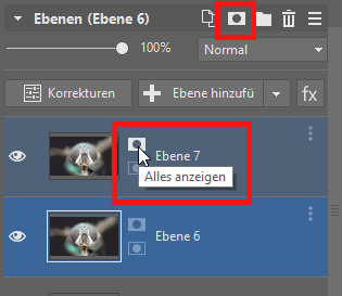 Focus Stacking: eine Maske.