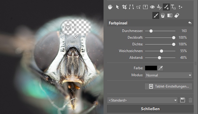 Focus Stacking: Pinsel mit schwarzer Farbe.