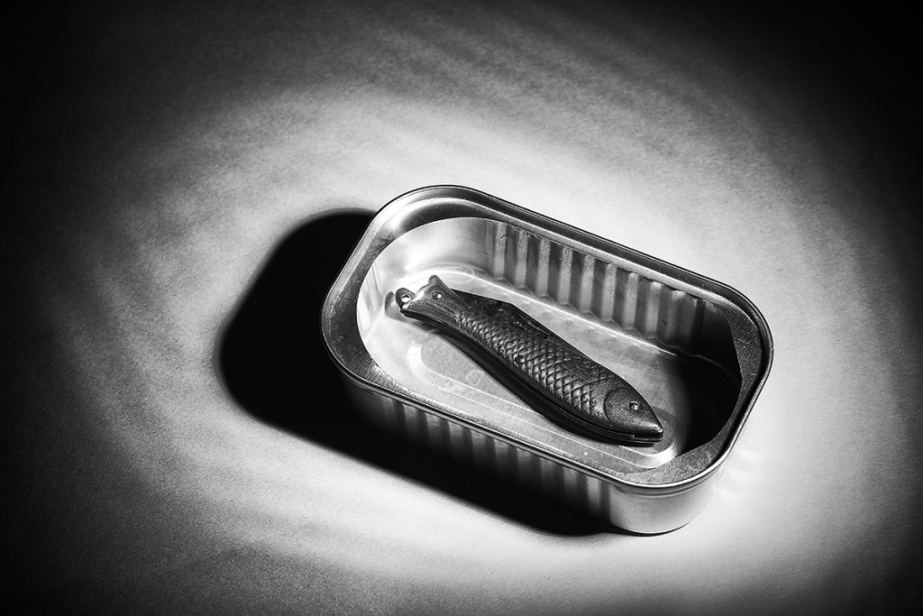Wie man Stillleben fotografiert: Eine ziemlich scharfe Sardine – Stillleben sollte die Betrachter auch überraschen können.