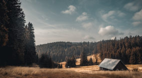 Mit dem Zuschneiden zur besseren Komposition: 4 Möglichkeiten, wie man das Foto durch das Zuschneiden verbessern kann