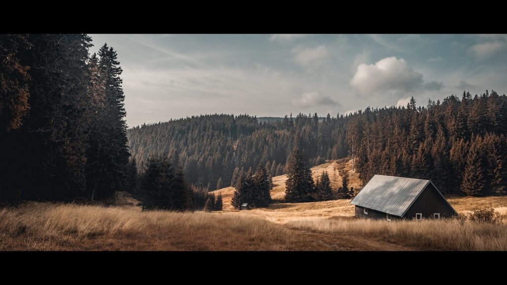 Wie man das Foto durch das Zuschneiden verbessern kann: Film-Look.