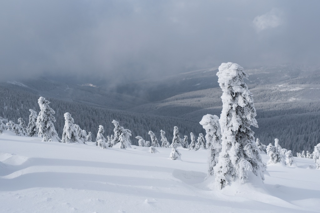 Peppen Sie Ihre Winterfotos auf - Originalbild
