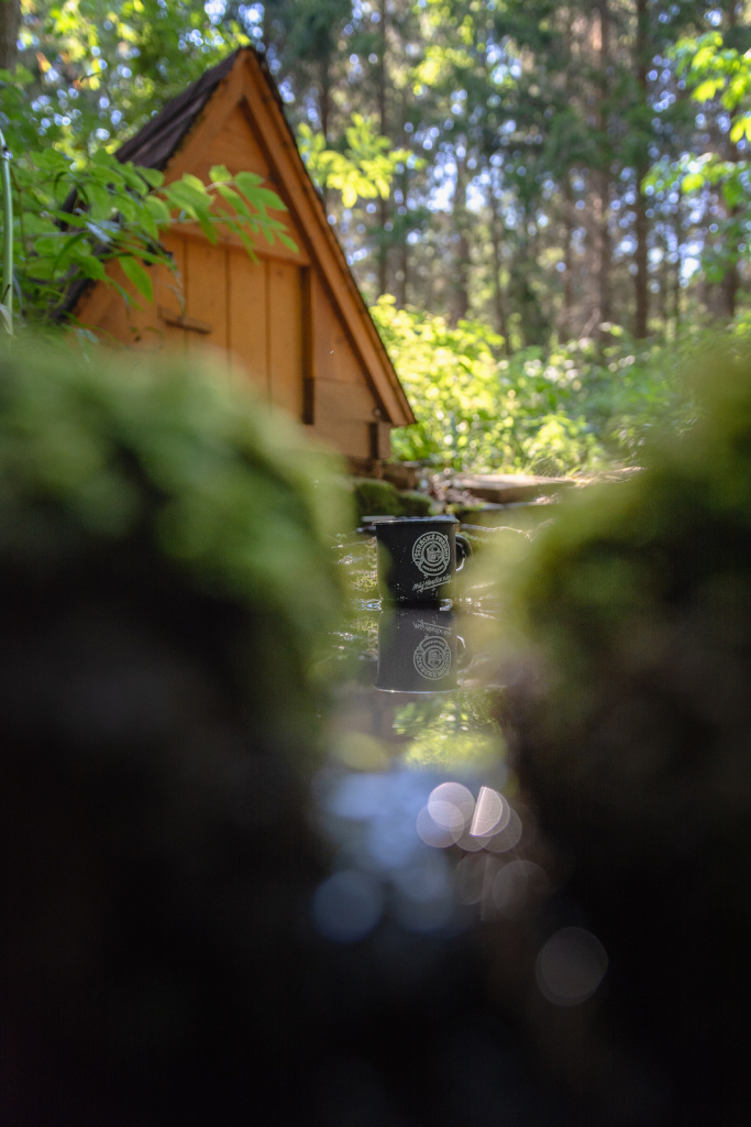 Landschaften anders fotografieren - waldbrunnen