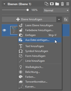 Ebene aus Datei einfügen.