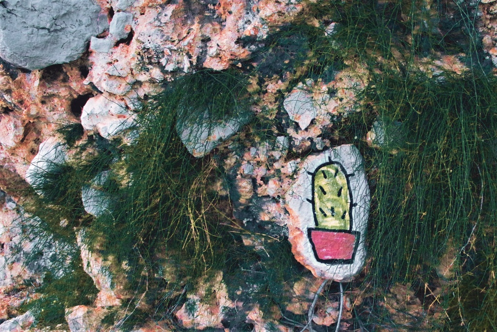 Wie fotografiert man im Urlaub - kaktus auf stein