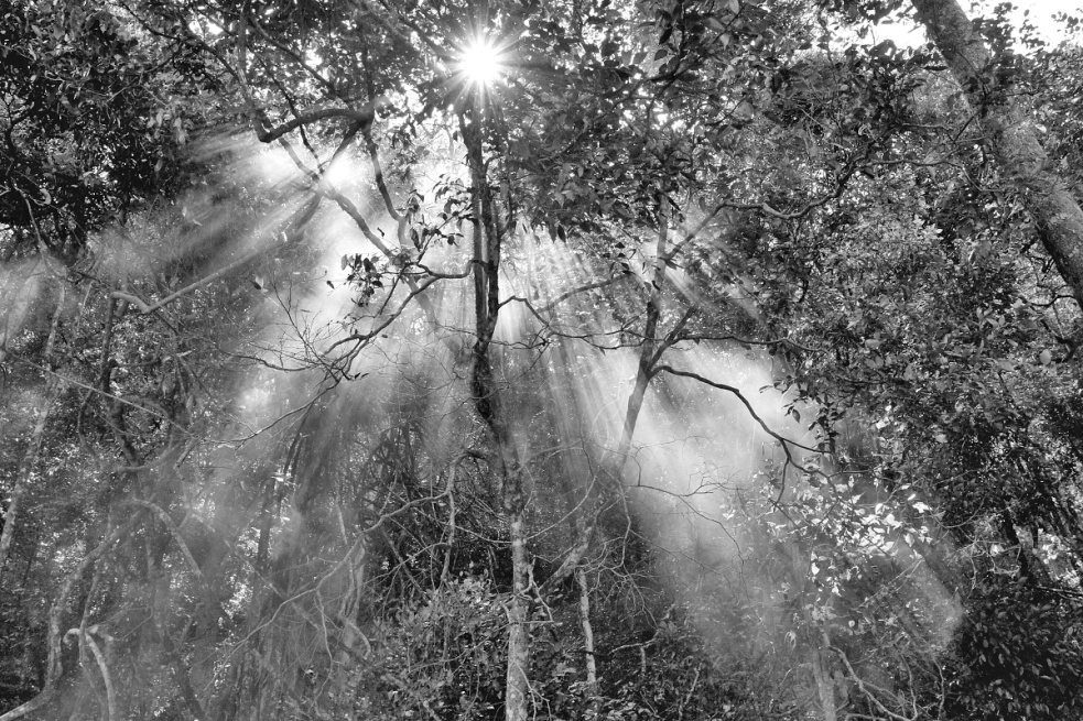 Der „fotografierende Regisseur“ Jan Svatoš: Analog fasziniert mich, Digital stiehlt nicht die Seele, sondern Zeit