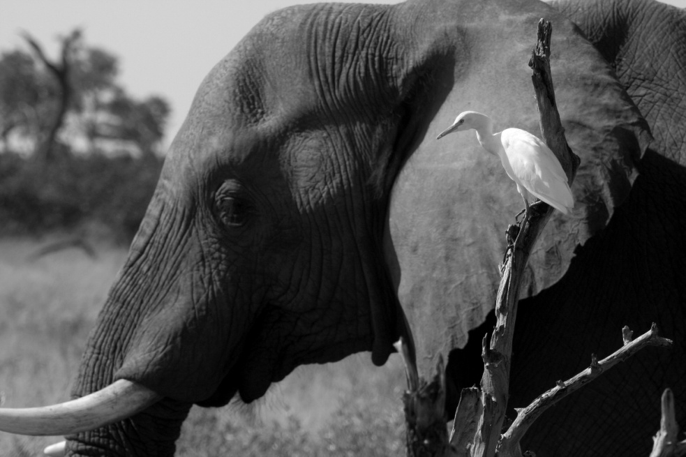Der „fotografierende Regisseur“ Jan Svatoš: Analog fasziniert mich, Digital stiehlt nicht die Seele, sondern Zeit