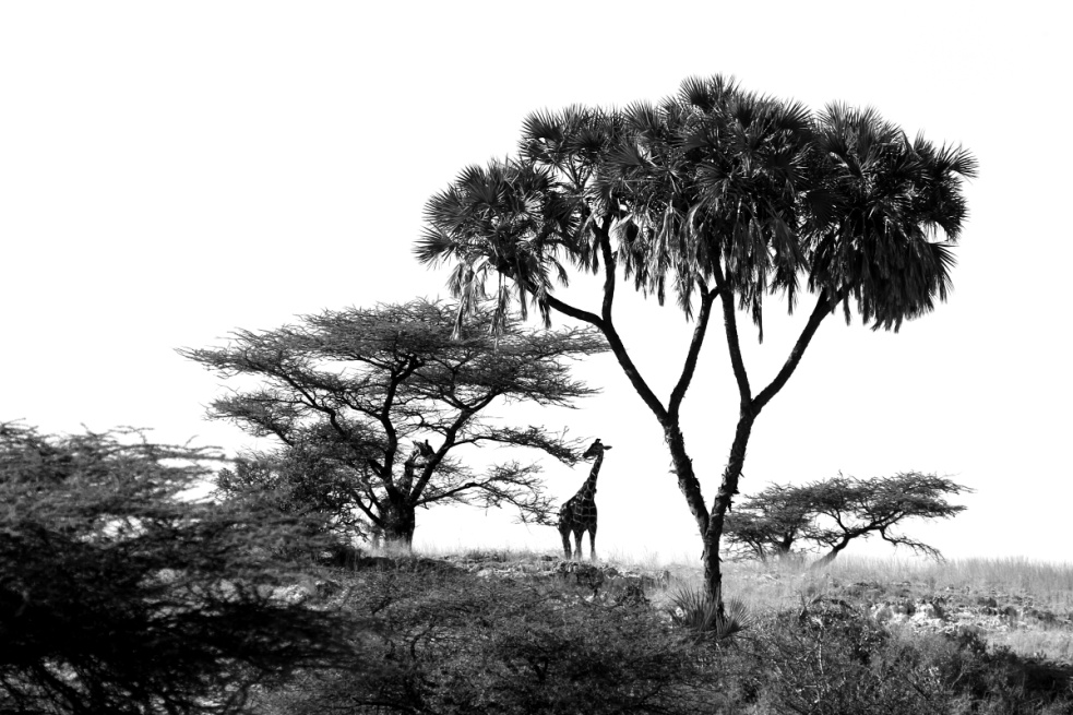 Der „fotografierende Regisseur“ Jan Svatoš: Analog fasziniert mich, Digital stiehlt nicht die Seele, sondern Zeit