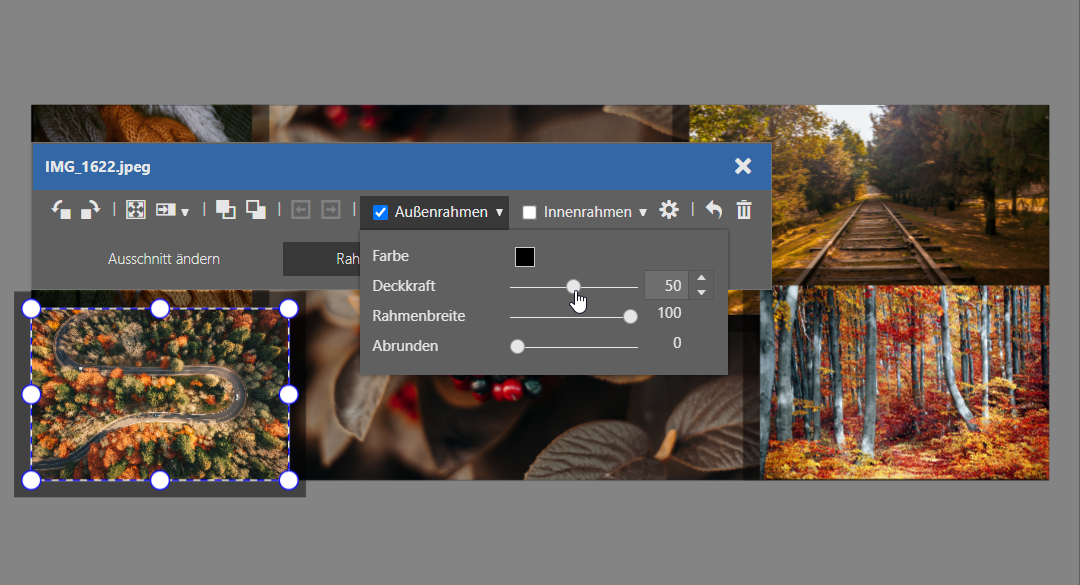 Erstellen Sie Ihre eigene Collage im Zoner Studio