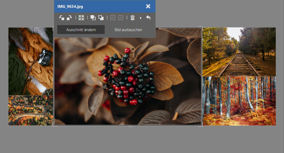 Erstellen Sie Ihre eigene Collage im ZPS X