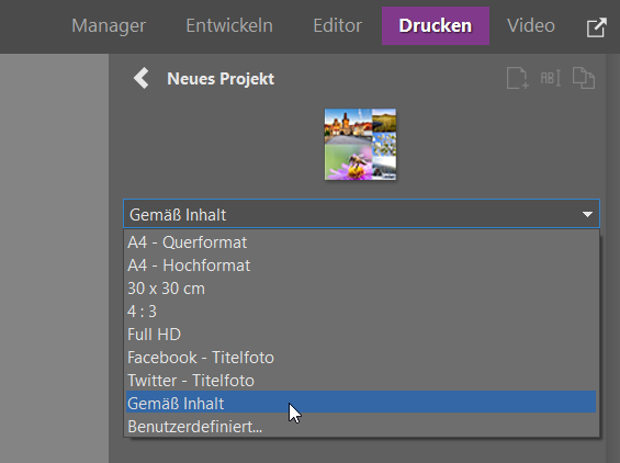 Erstellen Sie Ihre eigene Collage im Zoner Studio