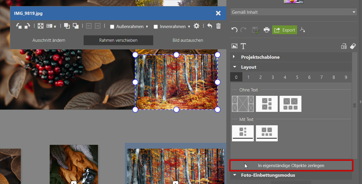 Erstellen Sie Ihre eigene Collage im Zoner Studio
