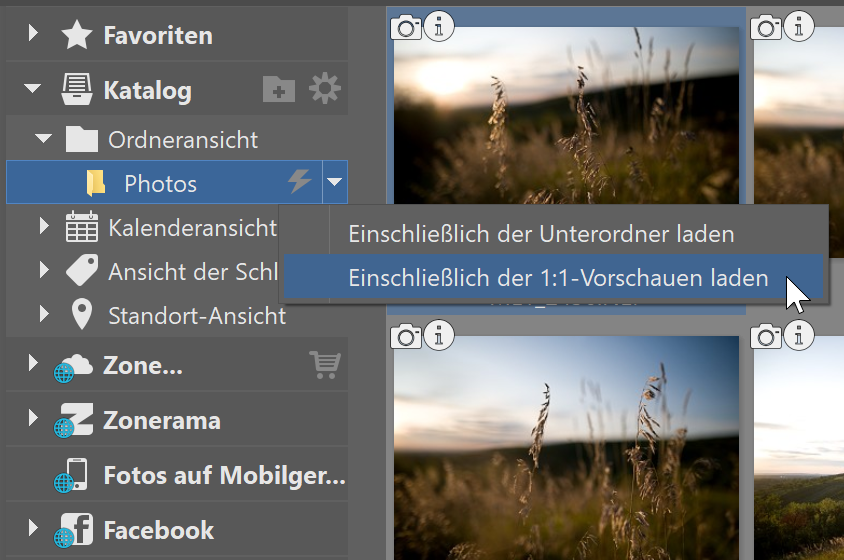 Volle 1:1-Vorschauen - panel