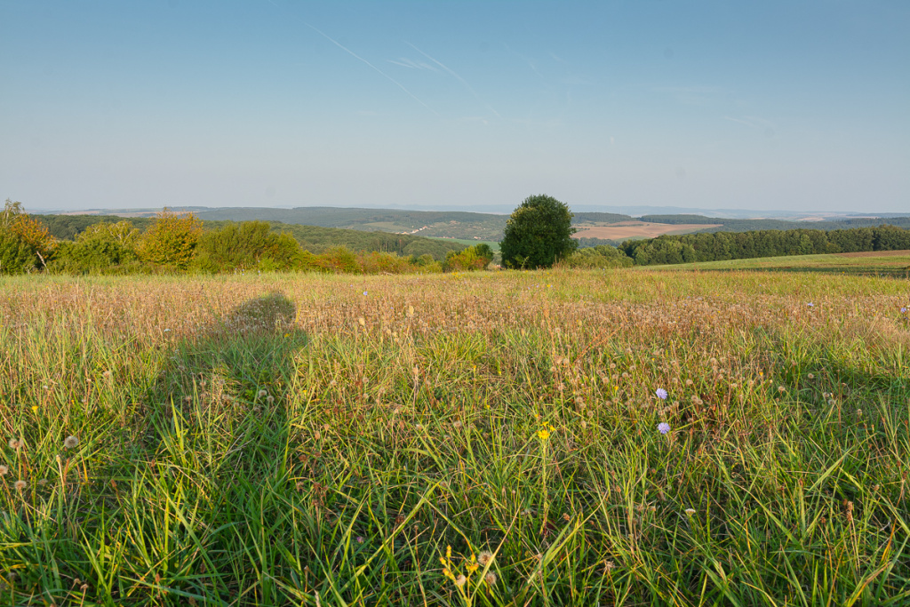 Wie sich das Licht in der Landschaft im Laufe des Tages verändert