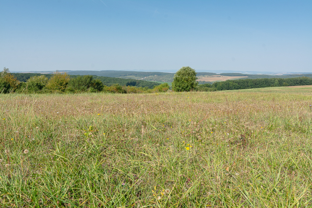 Wie sich das Licht in der Landschaft im Laufe des Tages verändert