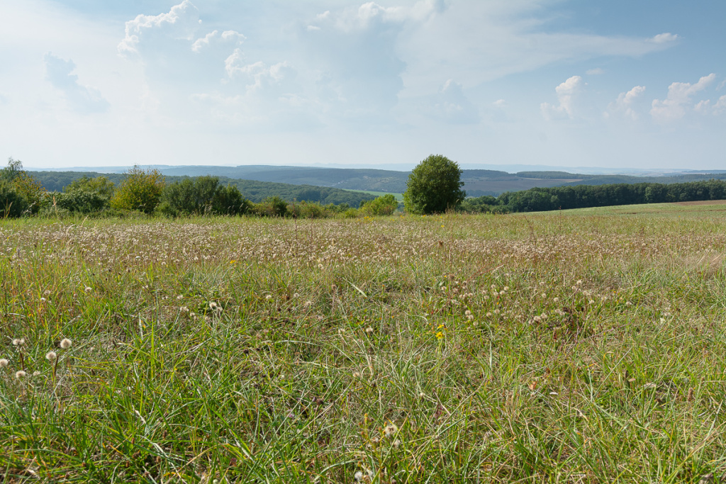 Wie sich das Licht in der Landschaft im Laufe des Tages verändert
