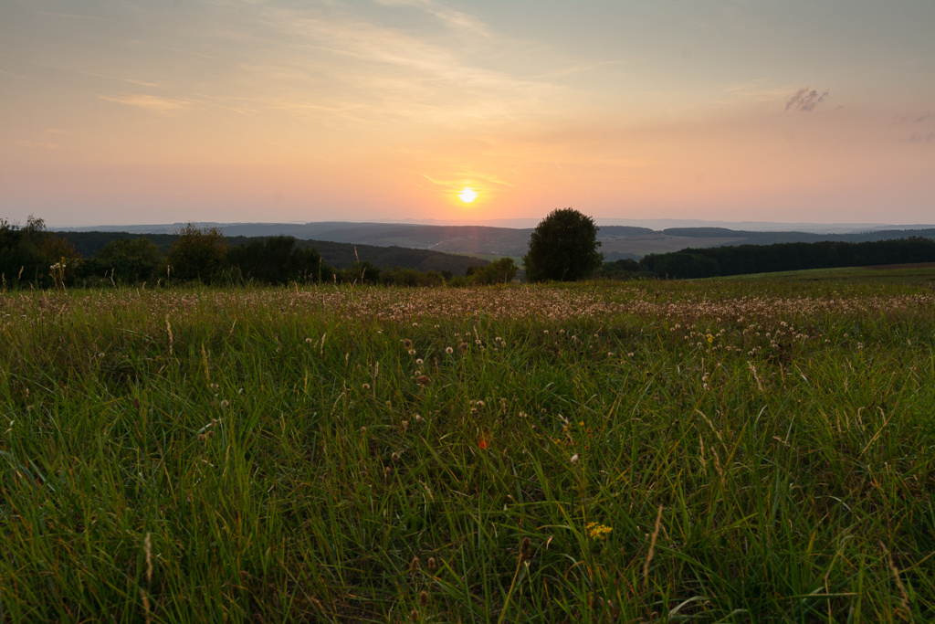 Wie sich das Licht in der Landschaft im Laufe des Tages verändert