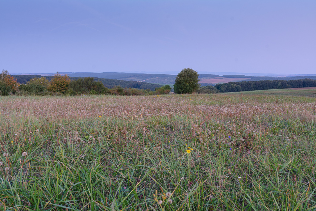 Wie sich das Licht in der Landschaft im Laufe des Tages verändert