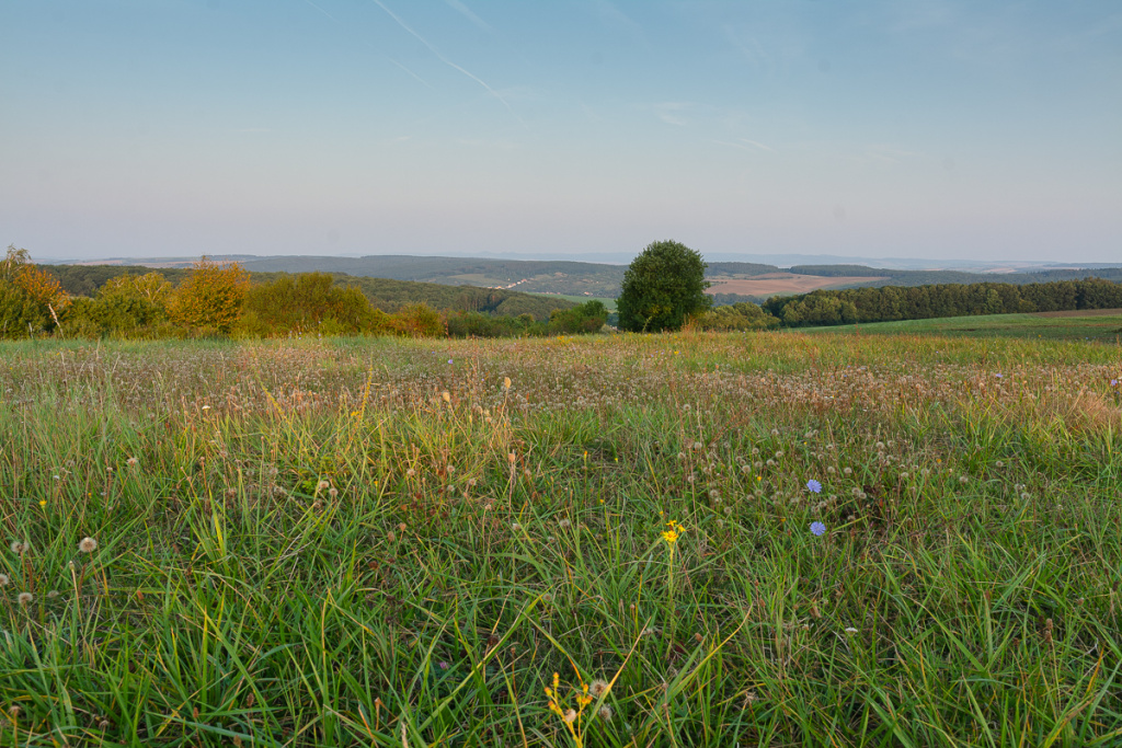 Wie sich das Licht in der Landschaft im Laufe des Tages verändert