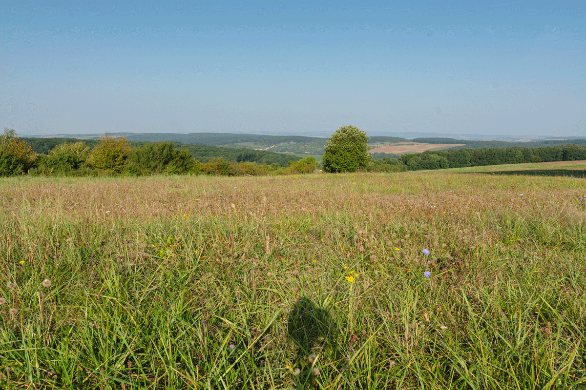 Wie sich das Licht in der Landschaft im Laufe des Tages verändert