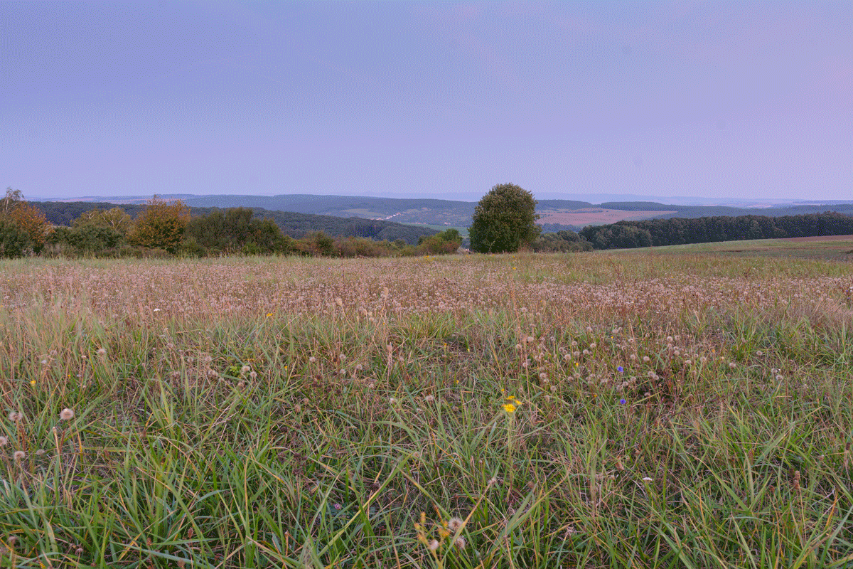 Wie sich das Licht in der Landschaft im Laufe des Tages verändert