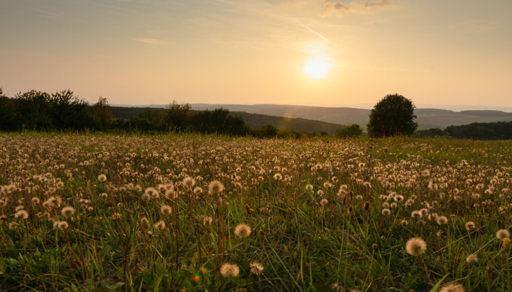 Wie sich das Licht in der Landschaft im Laufe des Tages verändert