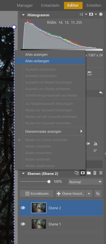 So erreichen Sie eine perfekte Symmetrie: Der Editor hilft Ihnen dabei