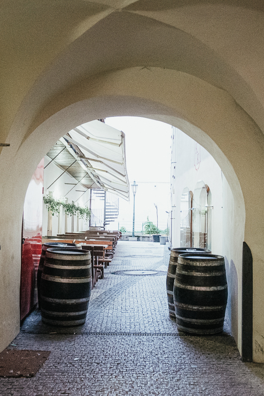 Von Grund auf! Probieren Sie, aus der Ameisenperspektive zu fotografieren