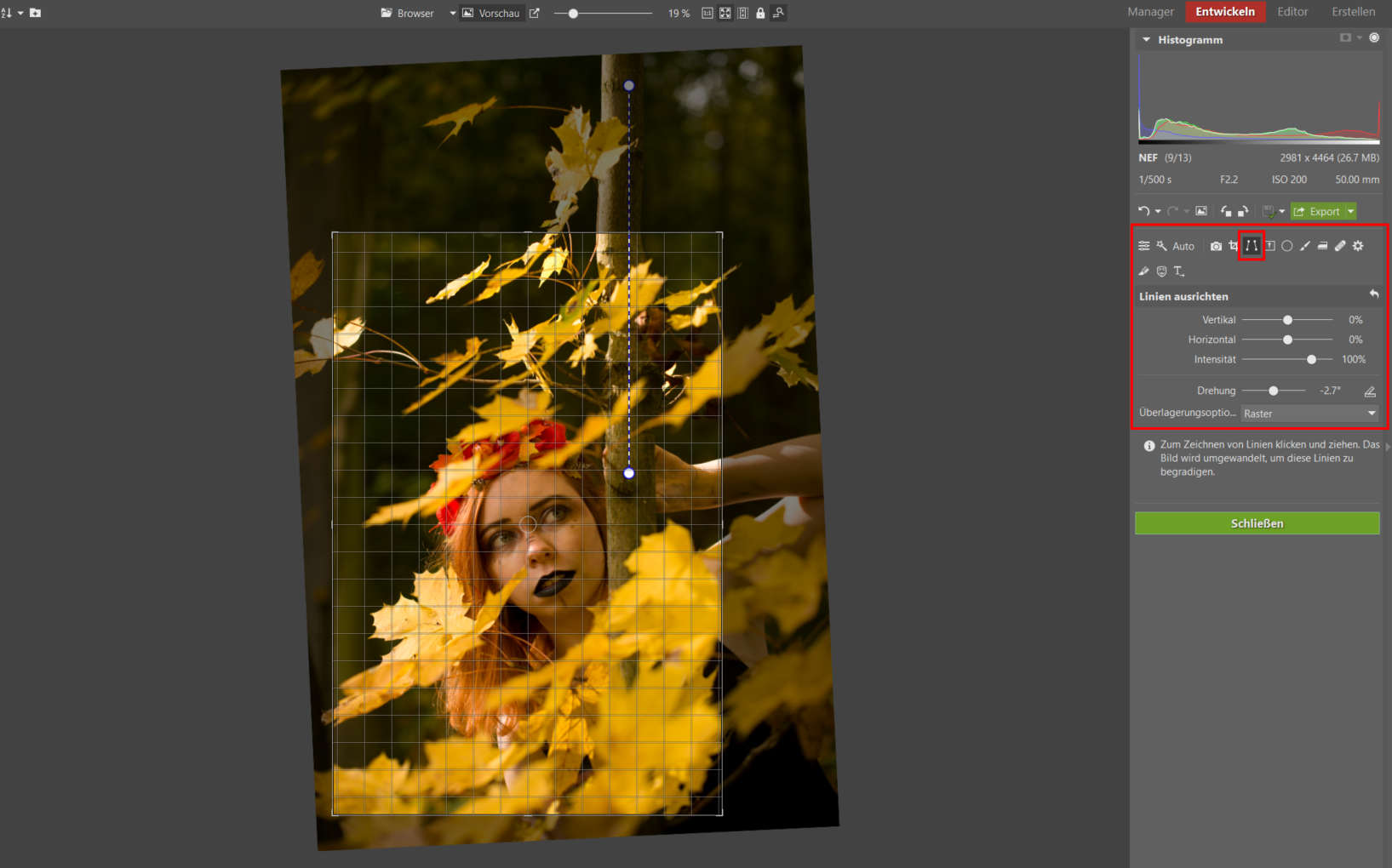 Bildbearbeitungsschule im ZPS X II: Entwickeln eines Herbstporträts Schritt für Schritt