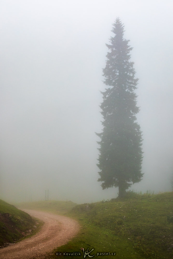 So fotografieren Sie Landschaft im Nebel: Achten Sie auf Details