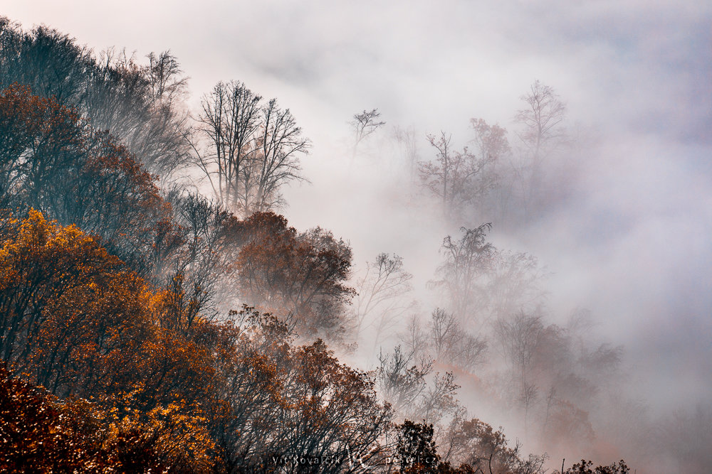 So fotografieren Sie Landschaft im Nebel: Achten Sie auf Details