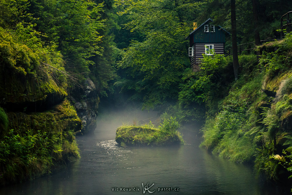 So fotografieren Sie Landschaft im Nebel: Achten Sie auf Details