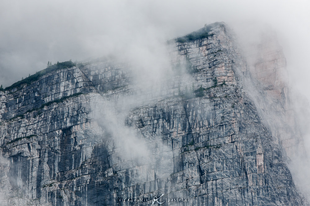 So fotografieren Sie Landschaft im Nebel: Achten Sie auf Details