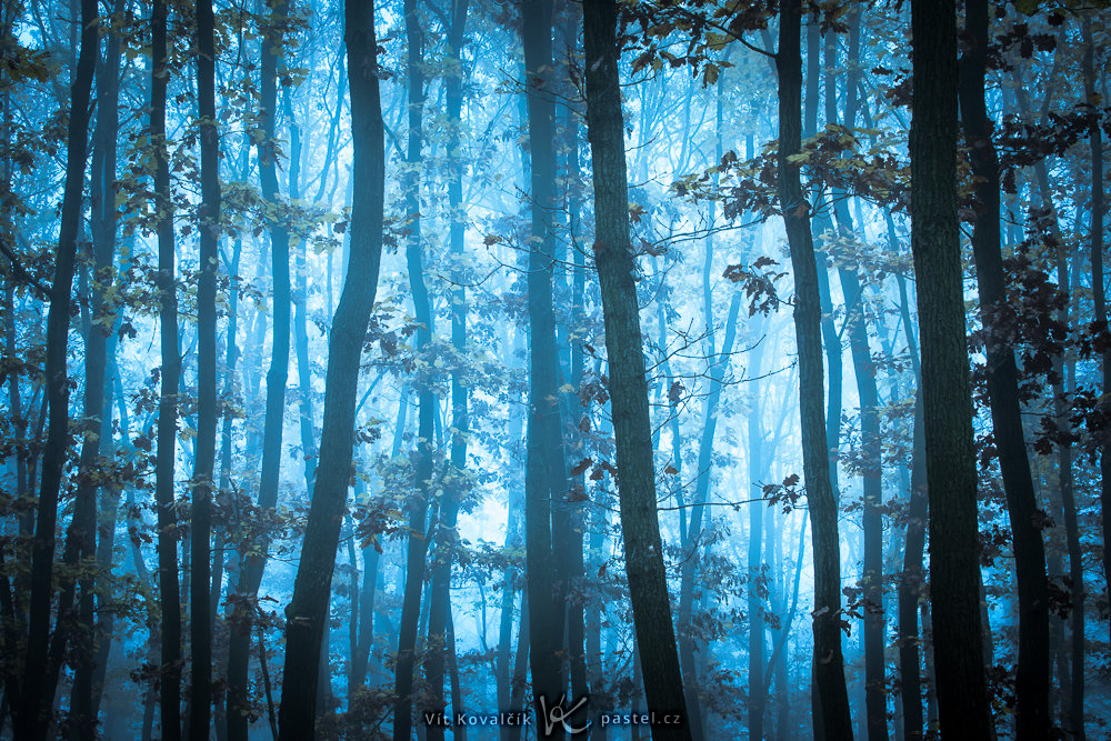So fotografieren Sie Landschaft im Nebel: Achten Sie auf Details