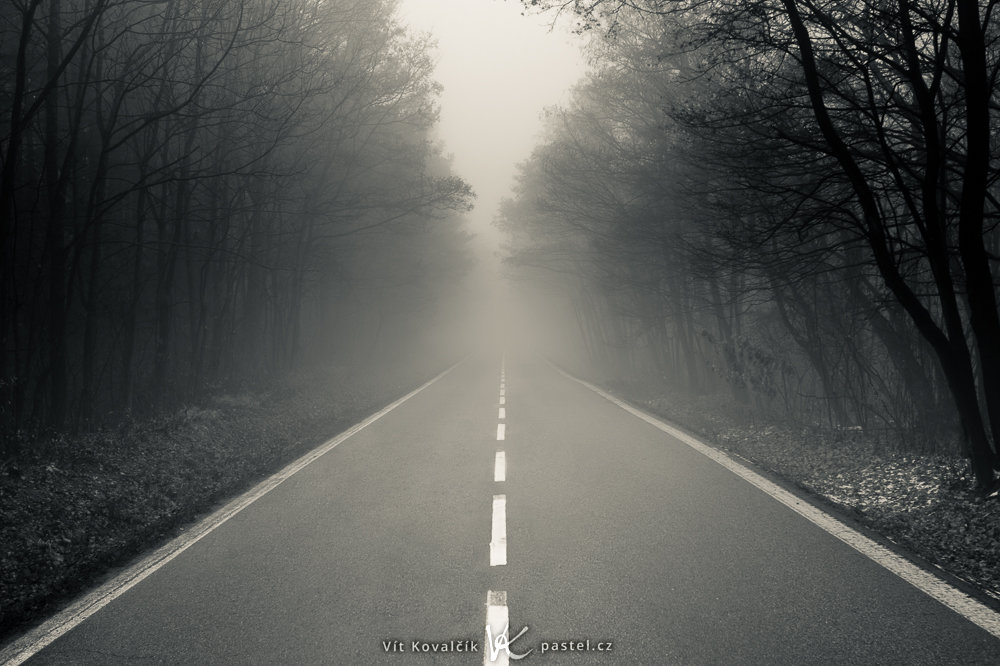 So fotografieren Sie Landschaft im Nebel: Achten Sie auf Details