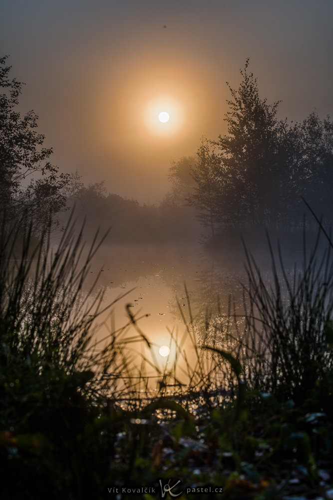 So fotografieren Sie Landschaft im Nebel: Achten Sie auf Details