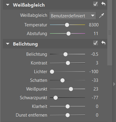 Gefällt Ihnen der Stil von fremden Fotos? Lernen Sie ihn nachzuahmen