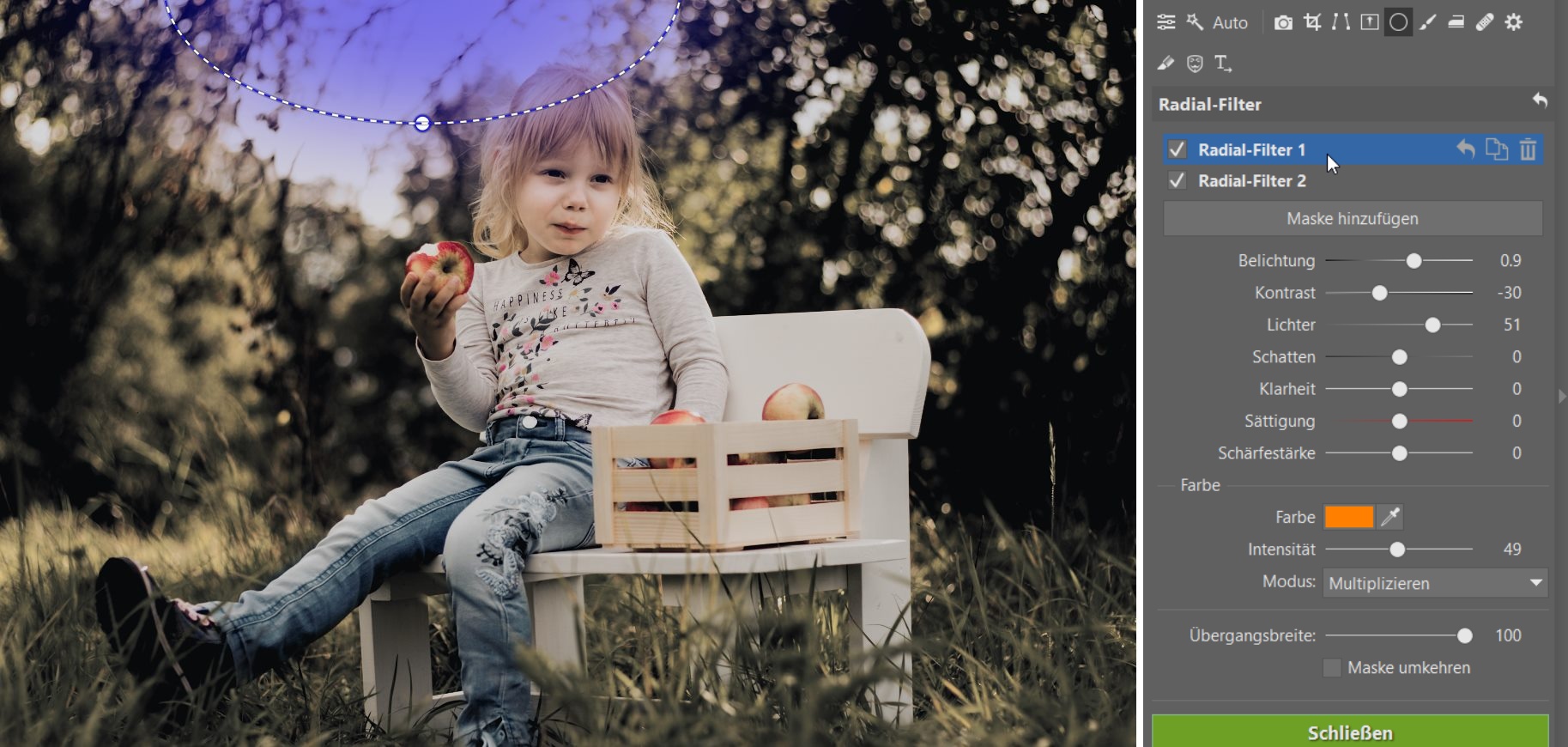 Gefällt Ihnen der Stil von fremden Fotos? Lernen Sie ihn nachzuahmen