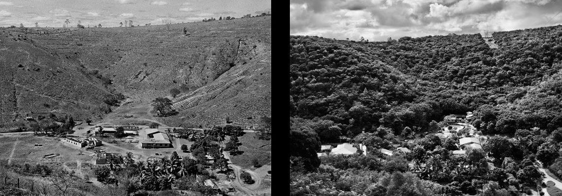 6 Dinge, mit denen die Fotografien und das Leben von Sebastião Salgado Sie in Erstaunen versetzen
