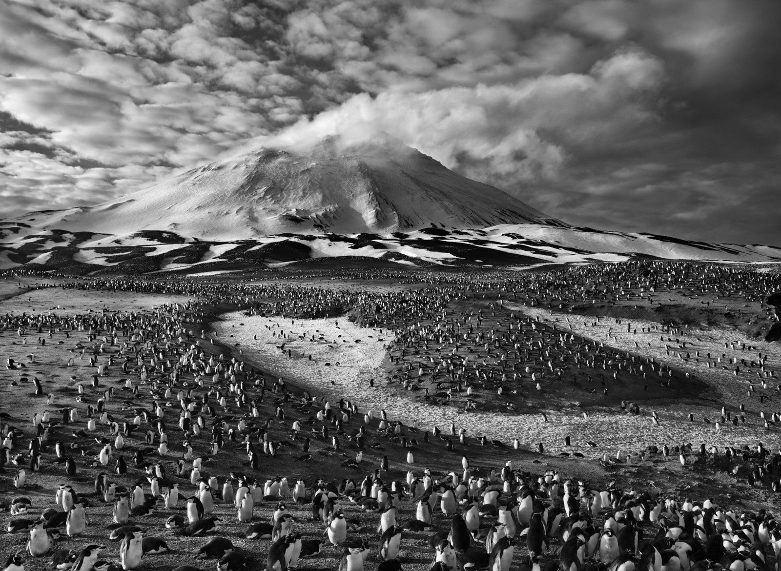 6 Dinge, mit denen die Fotografien und das Leben von Sebastião Salgado Sie in Erstaunen versetzen