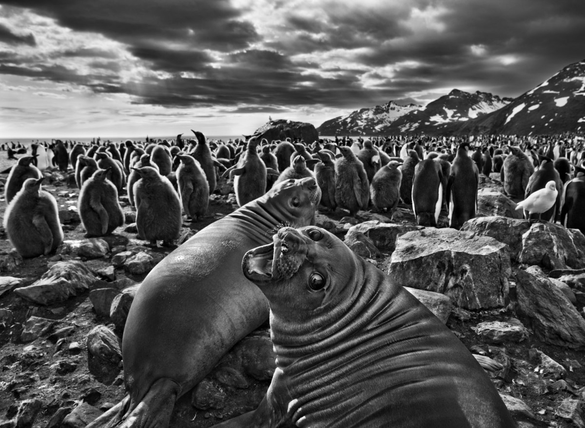 6 Dinge, mit denen die Fotografien und das Leben von Sebastião Salgado Sie in Erstaunen versetzen