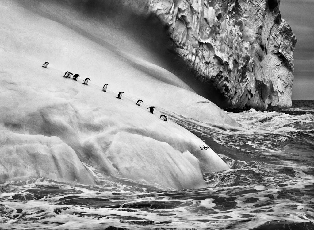 6 Dinge, mit denen die Fotografien und das Leben von Sebastião Salgado Sie in Erstaunen versetzen
