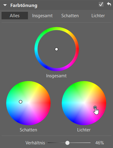 Farbtönung: Verleihen Sie Ihren Fotos einen unverwechselbaren Farbstil.