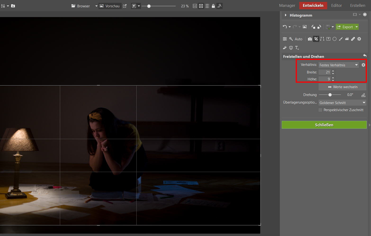 Bildbearbeitungsschule im Zoner Studio III: Bearbeiten Sie Ihr Foto im Filmstil