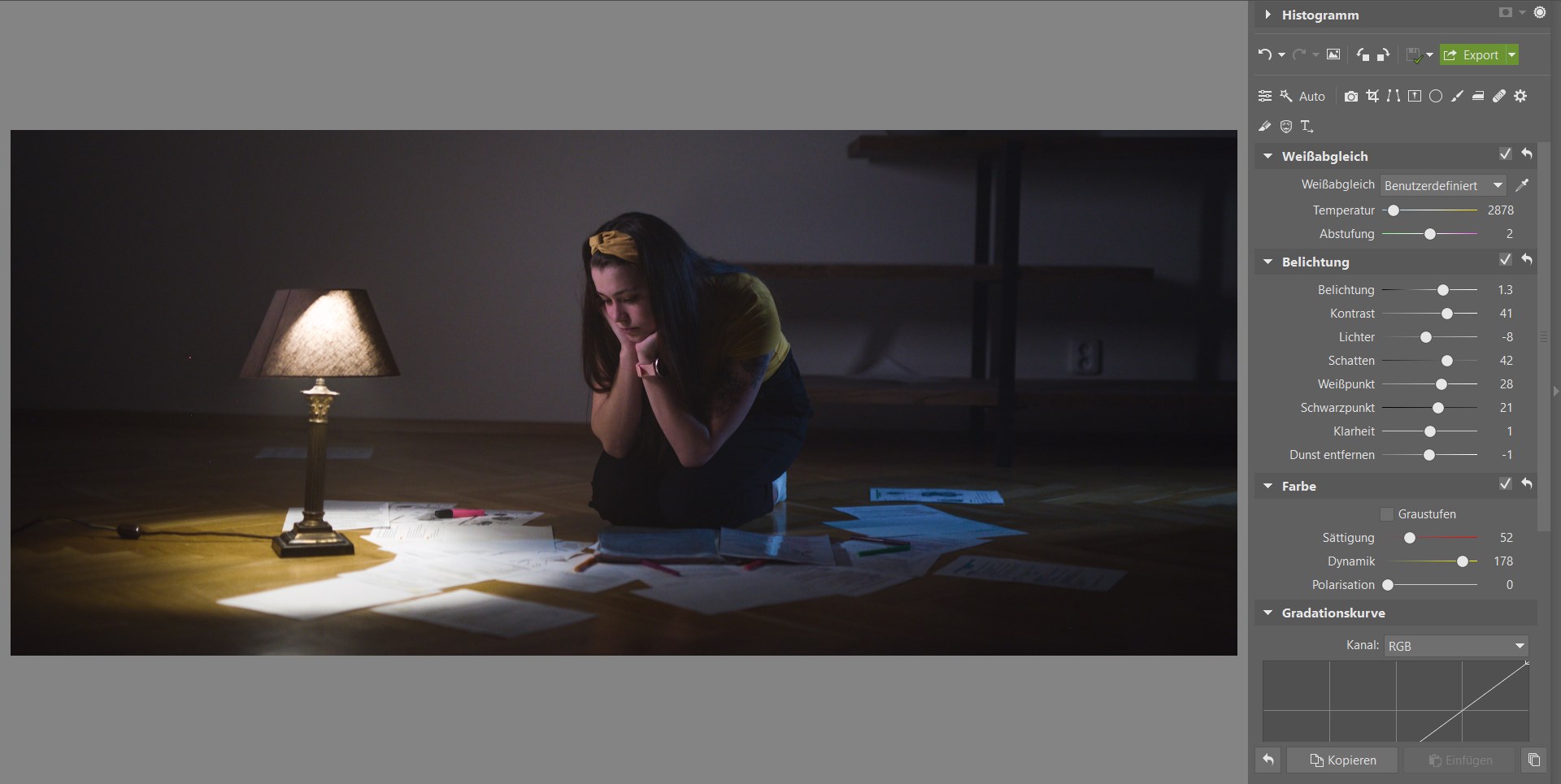 Bildbearbeitungsschule im Zoner Studio III: Bearbeiten Sie Ihr Foto im Filmstil