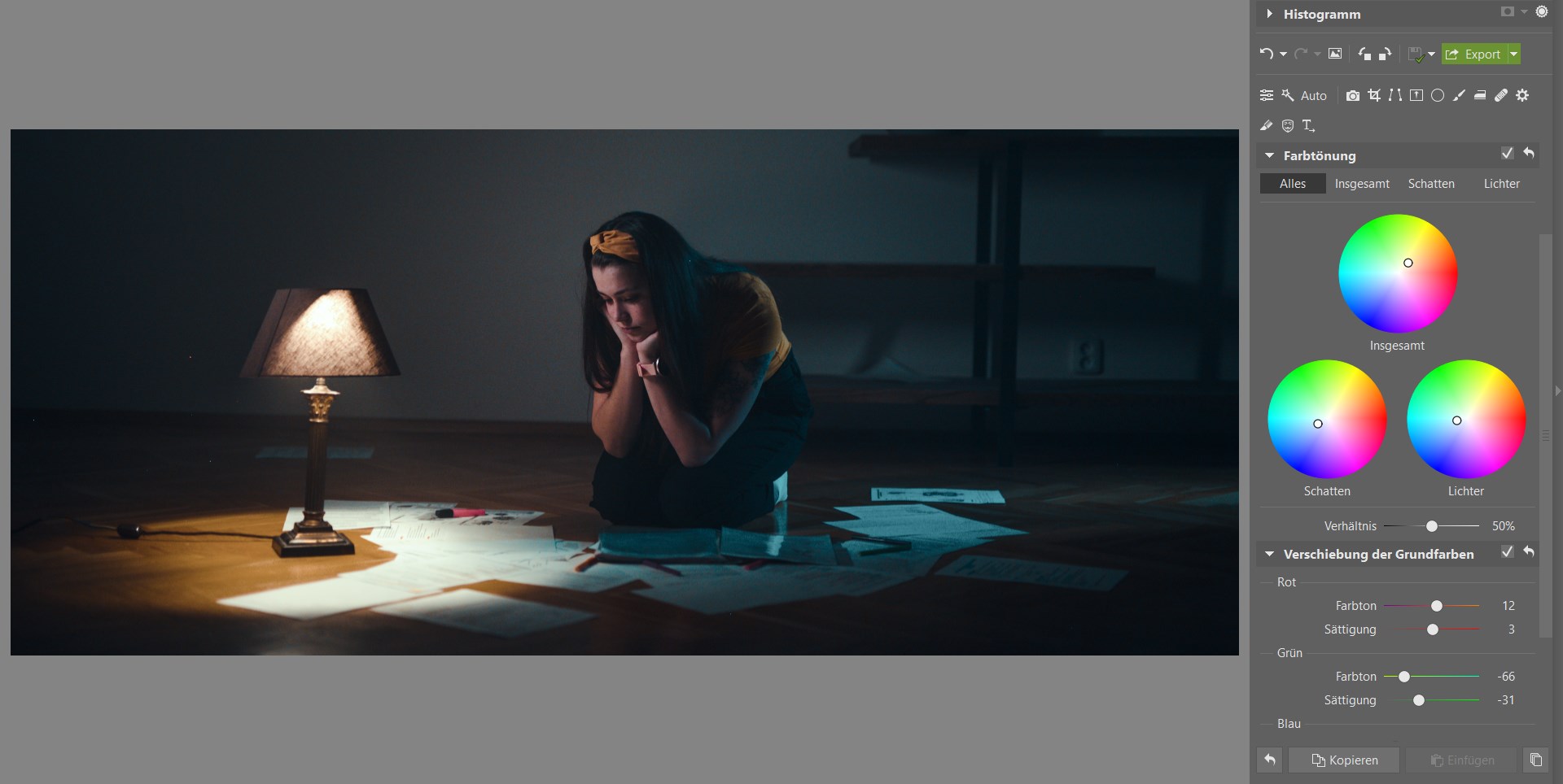 Bildbearbeitungsschule im Zoner Studio III: Bearbeiten Sie Ihr Foto im Filmstil