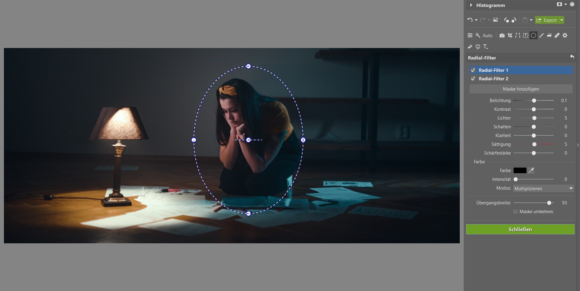 Bildbearbeitungsschule im ZPS X III: Bearbeiten Sie Ihr Foto im Filmstil